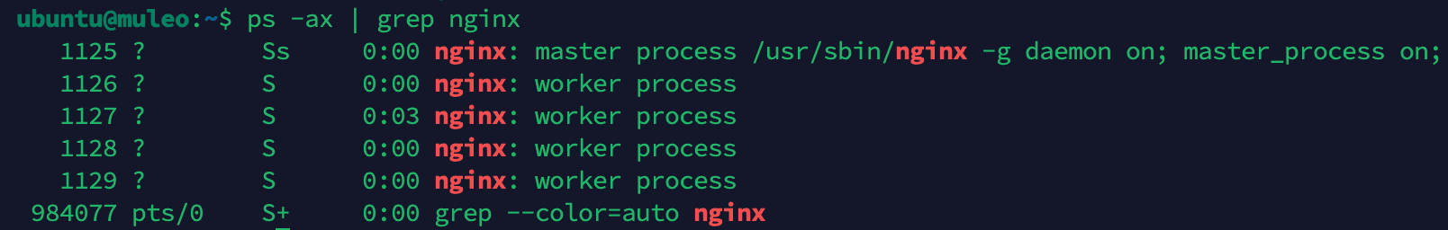 ps -ax | grep nginx
